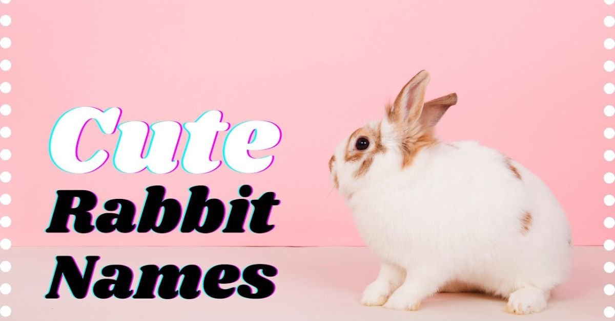 Cute Rabbit Names