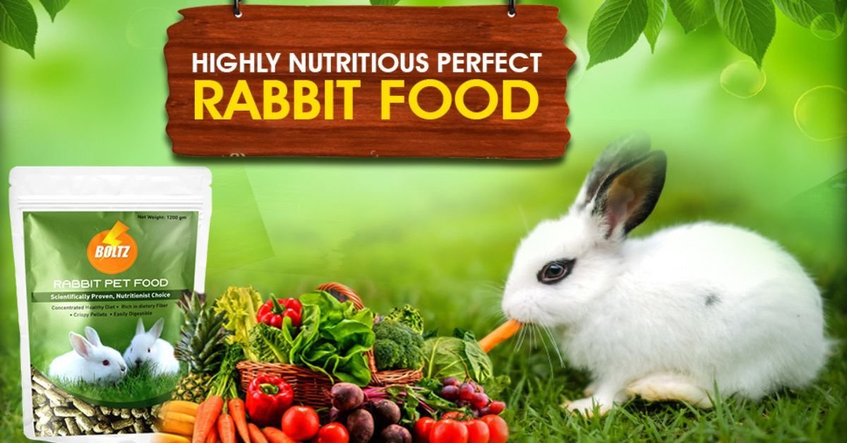 Rabbit Rabbit Food