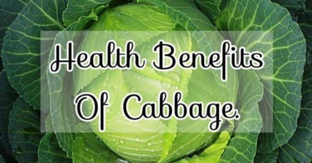 Can Rabbits Eat Cabbage