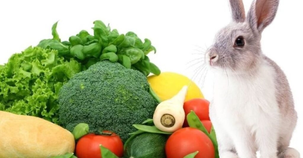 Can Rabbits Have Grapes