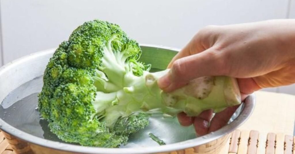 can rabbits eat broccoli