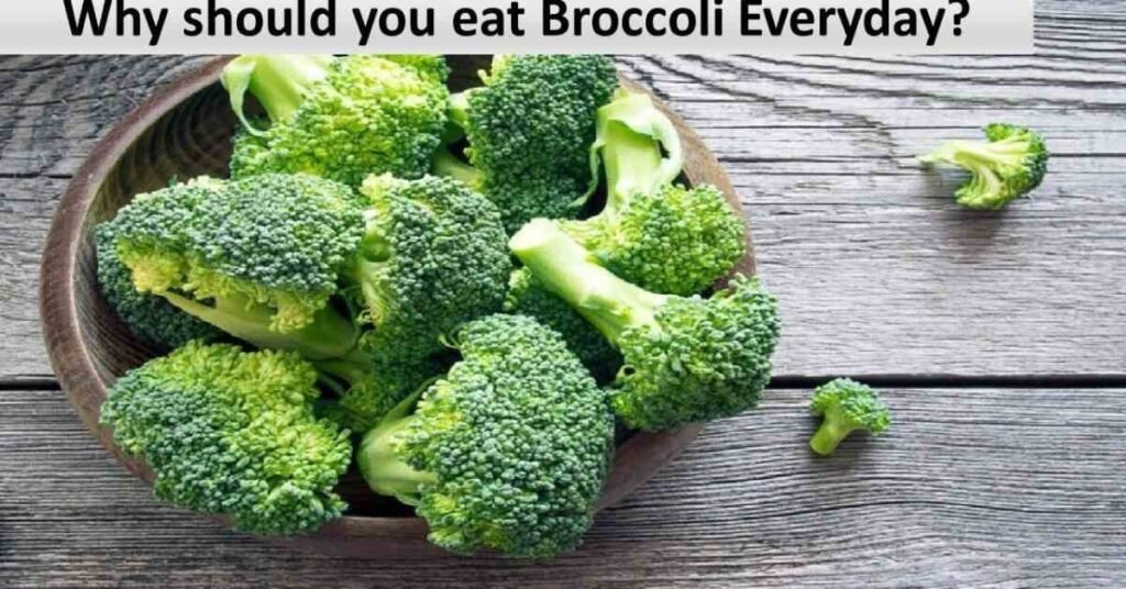 can rabbits eat broccoli