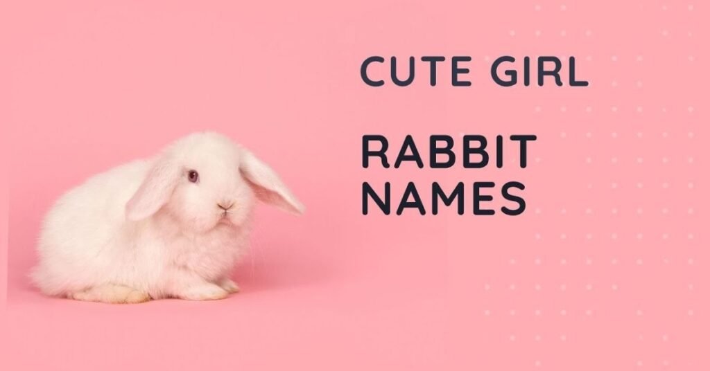 Cute Rabbit Names