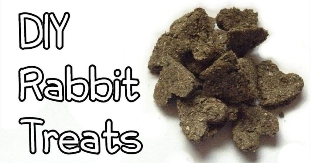 Pumpkins for Rabbits