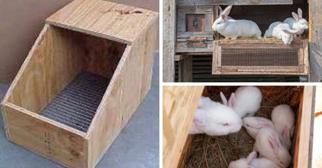 rabbit breeding nest box
