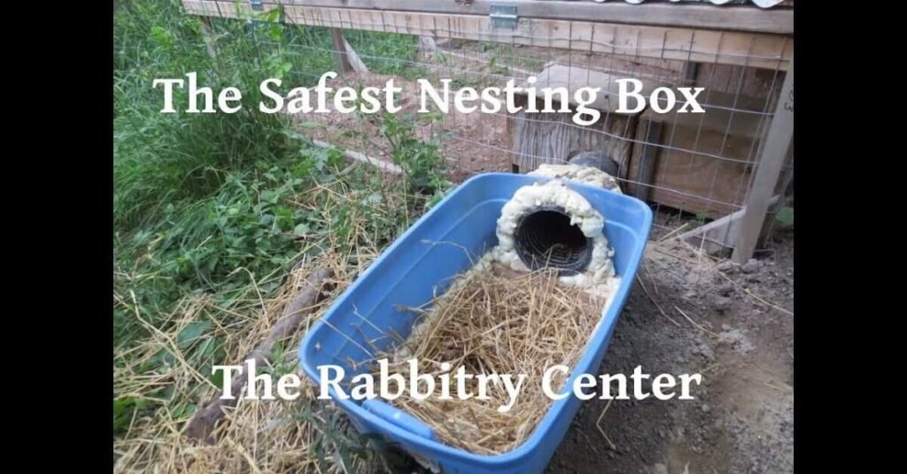 rabbit breeding nest box
