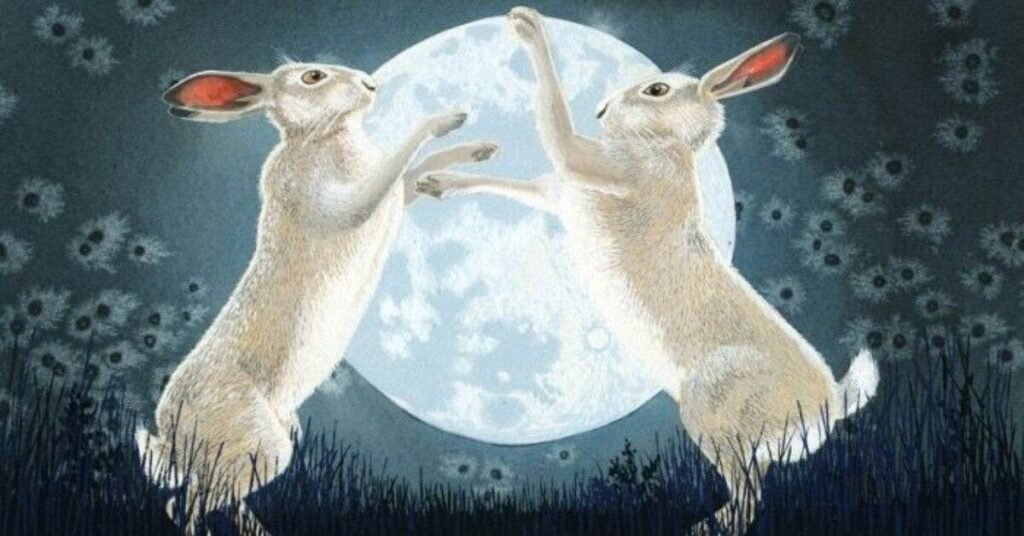 Moonlight Rabbit