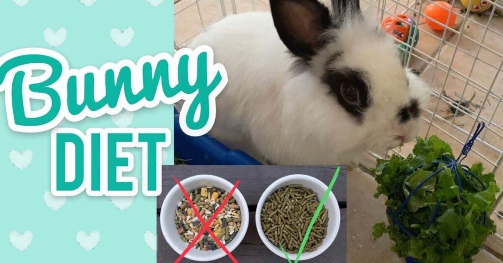 Should Rabbits Eat Celery