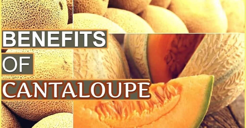 Can Rabbits Eat Cantaloupe