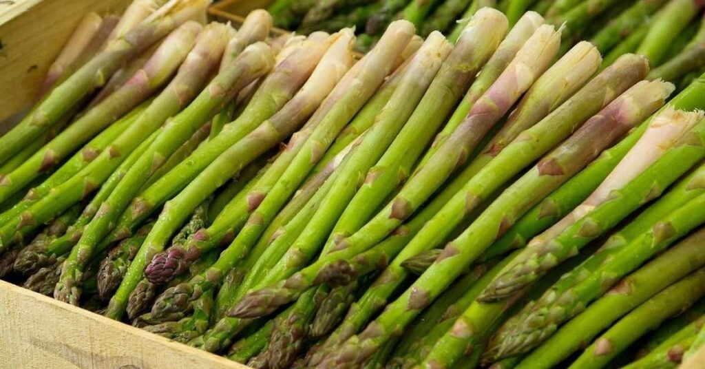 Can Rabbits Eat Asparagus