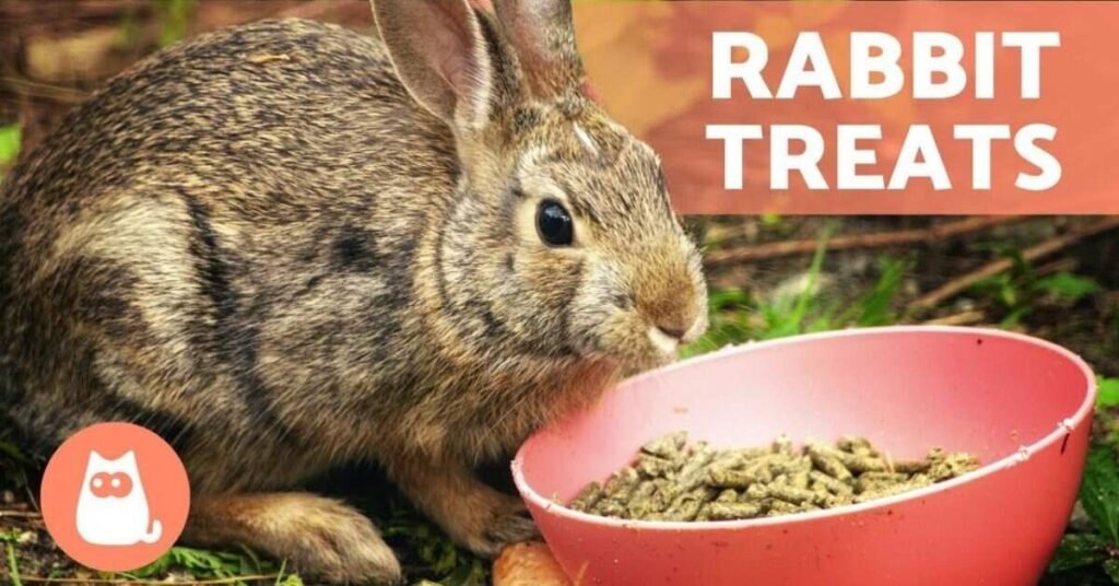 What Do Rabbits Eat