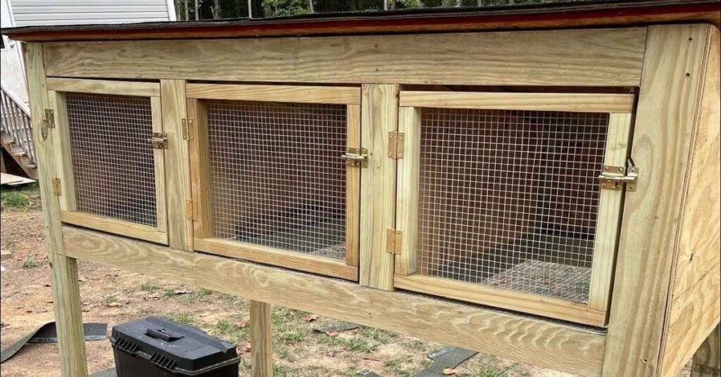 Outdoor Rabbit Hutch