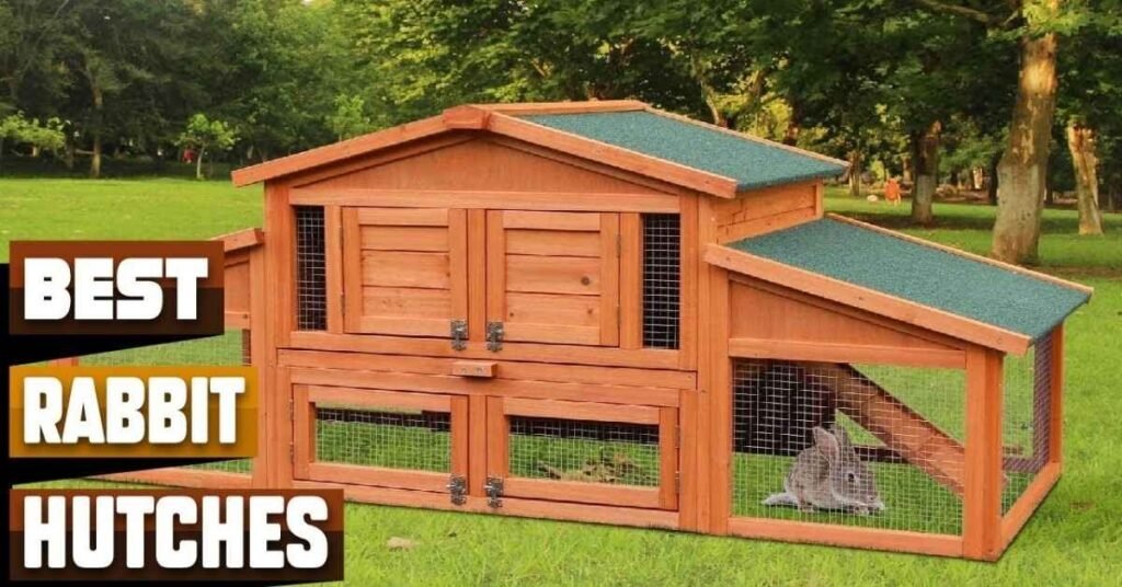 Outdoor Rabbit Hutch