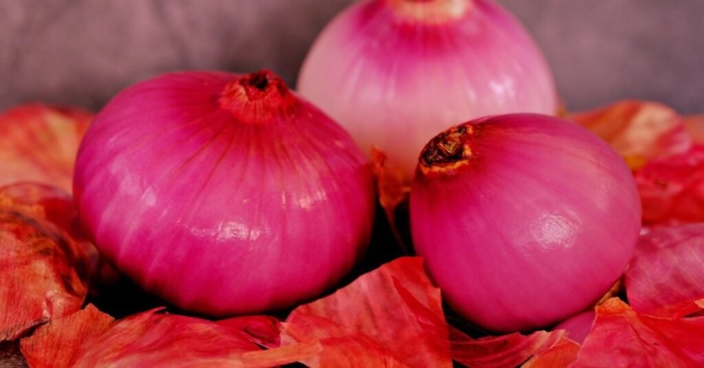 Can Rabbits Eat Onions