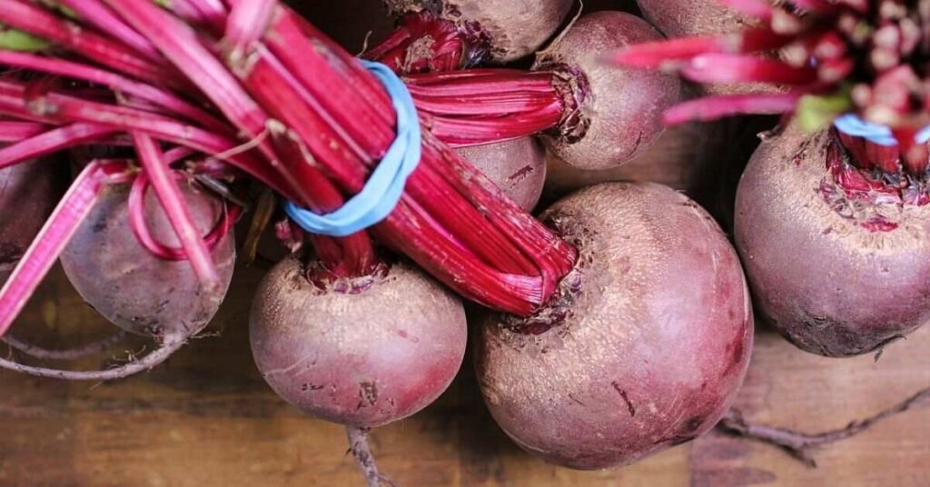 Can Rabbits Eat Beets