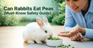 Can Rabbits Eat Peas