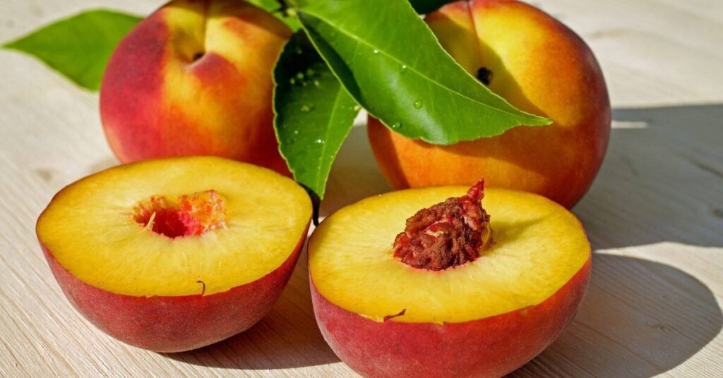 Can Rabbits Eat Plums 